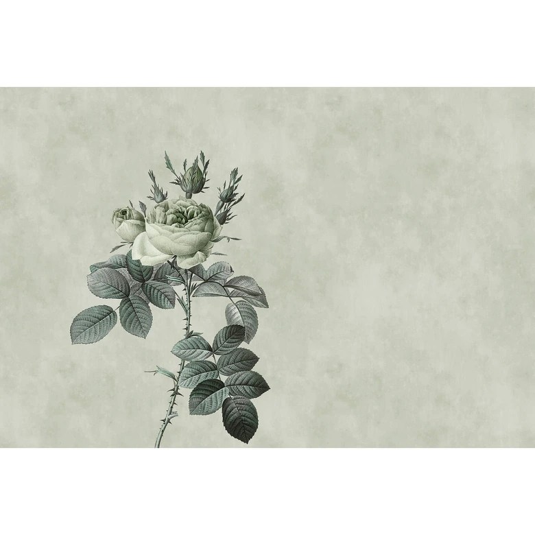 Livingwalls Fototapete Walls by Patel rose 2 