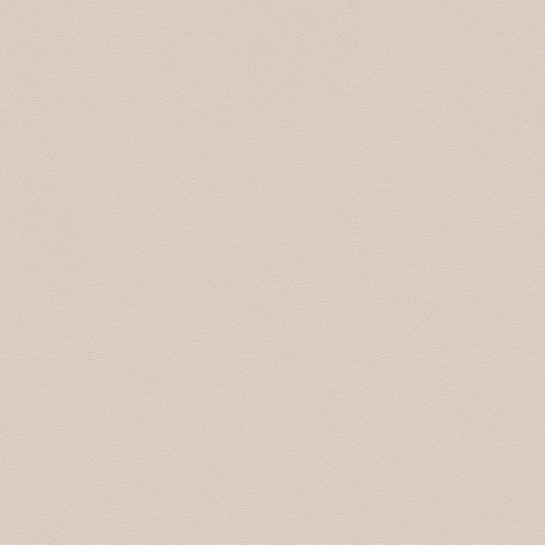 Tapete Beige Vlies einfarbig glatt Vliestapete Uni modern Unitapete Wohnzimmer A.S. Création 