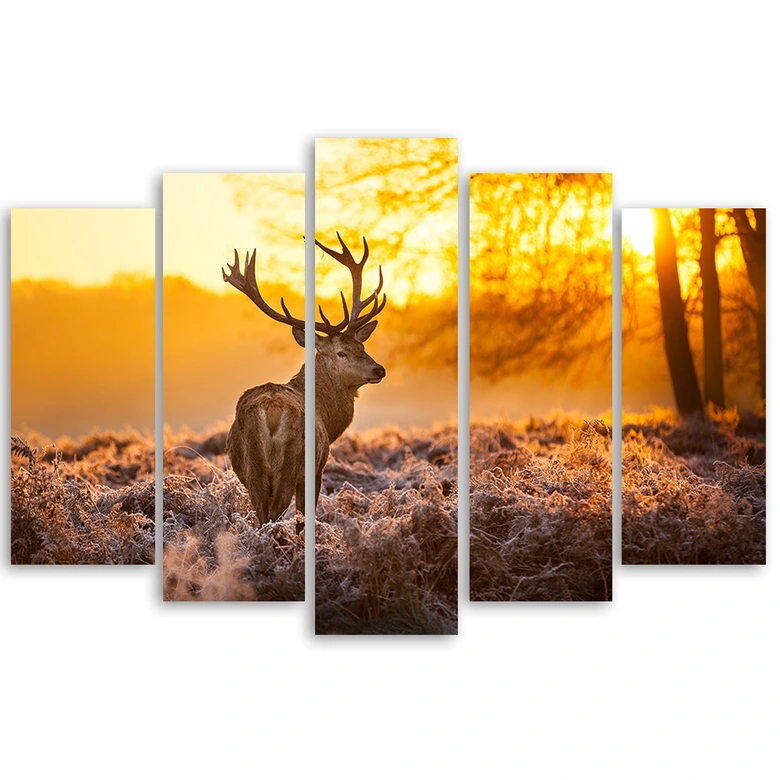 Leinwandbild 5 teilig, Hirschwald Sonnenuntergang 