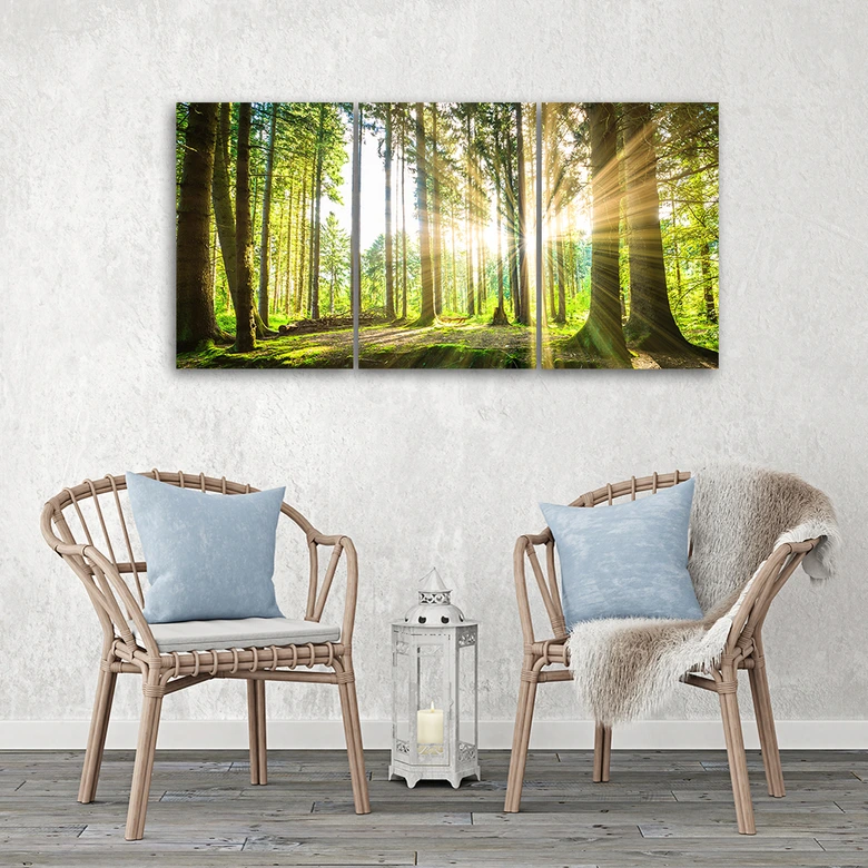 Leinwandbild 3-teilig, Wald Bäume Natur 