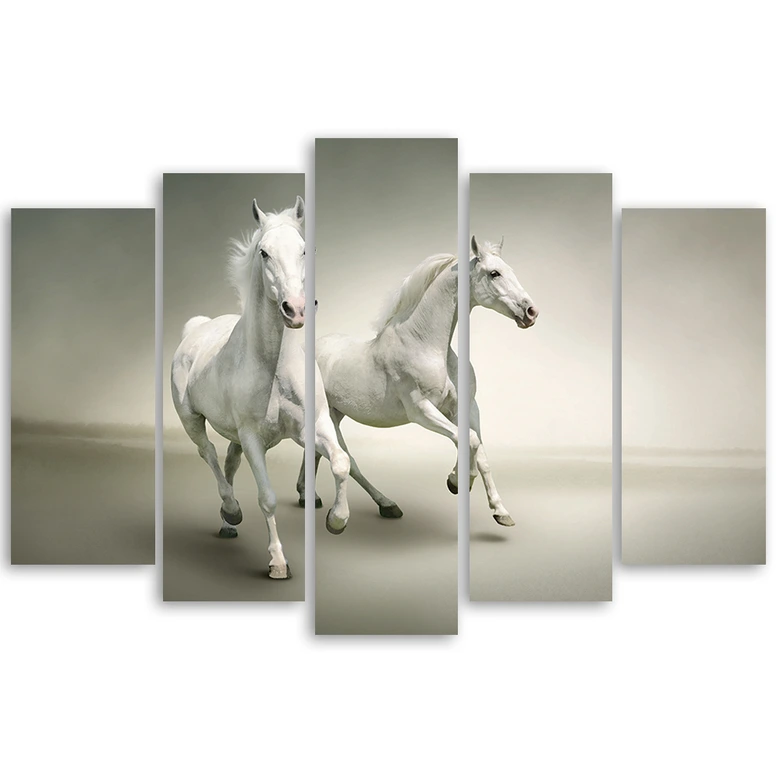 Wandbild 5-teilig, Weiße Pferde im Galopp 