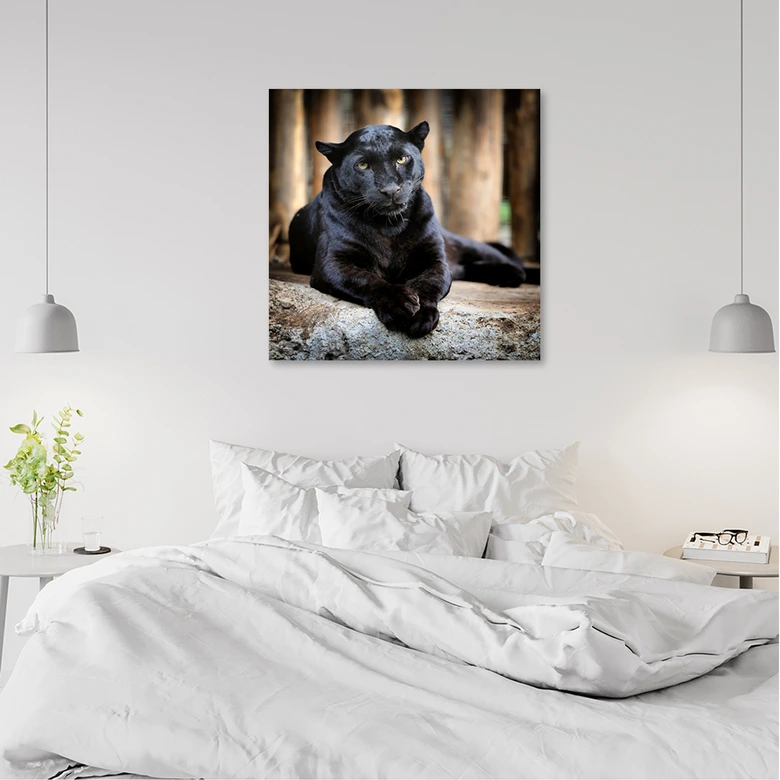 Leinwandbild, Schwarzer Panther 