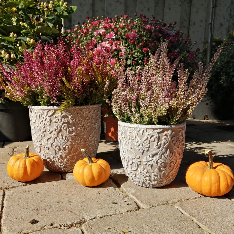 Blumentopf Beton mit Verzierung 