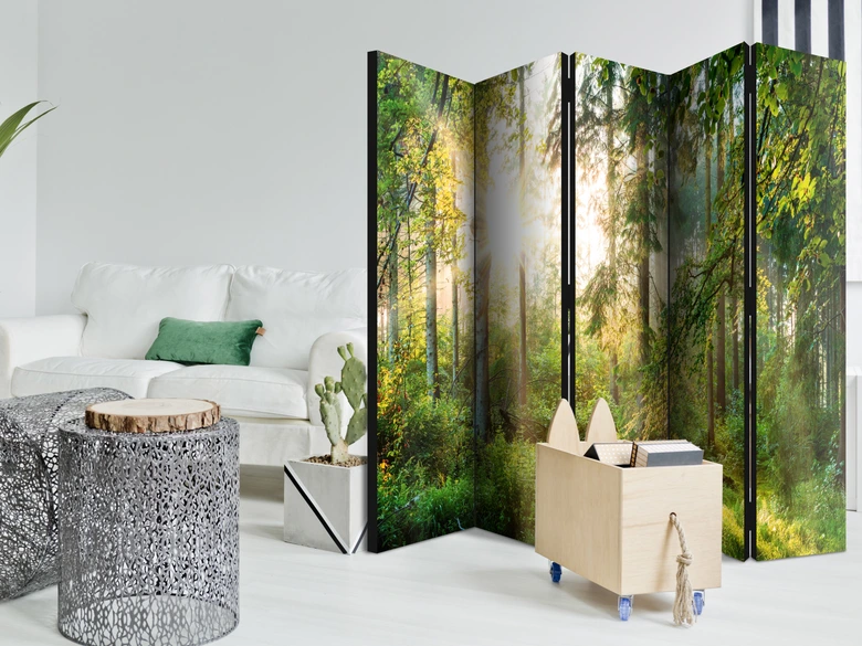 Paravent, Raumteiler freistehend, Trennwand - Hemmungsloses Abenteuer , 5-teilig - 225x172 cm 