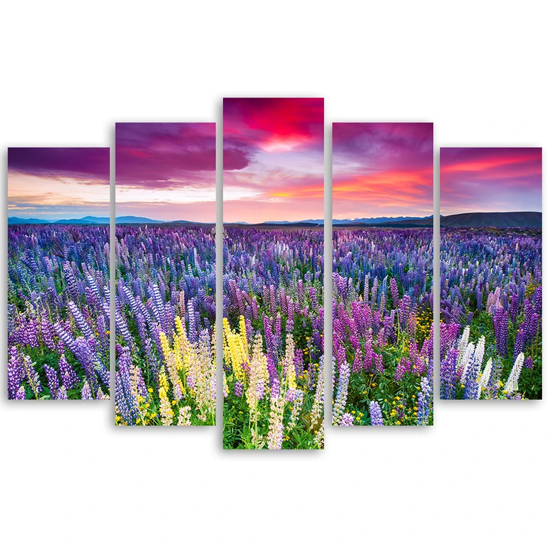 Leinwandbild 5 teilig, Blumen Wiese Lila 