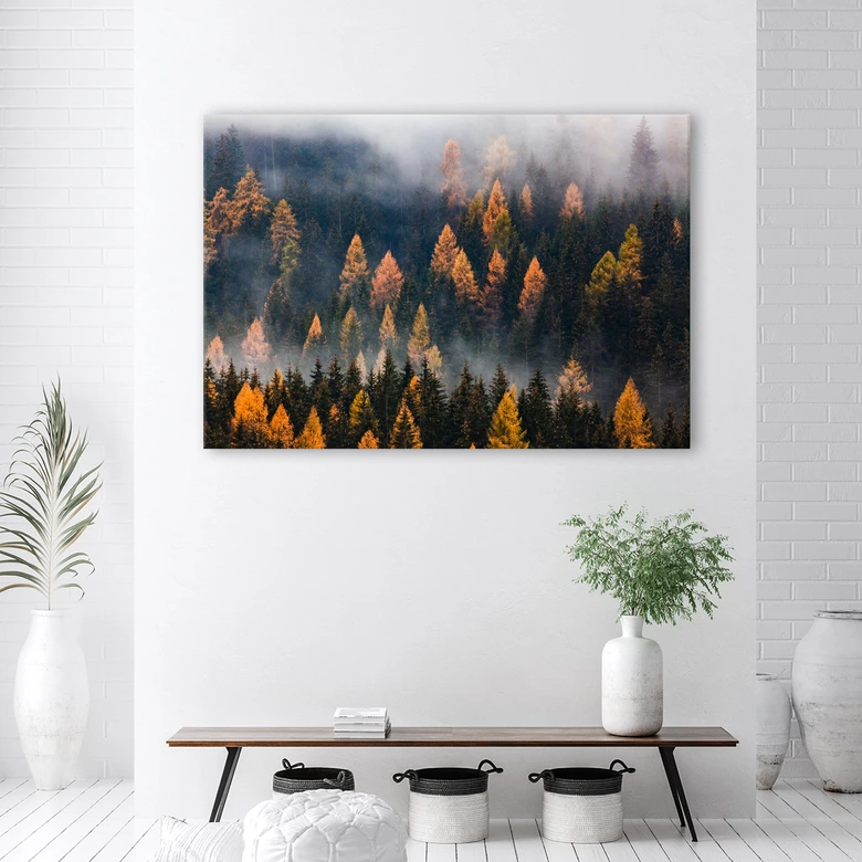 Leinwandbild, Herbstbäume 