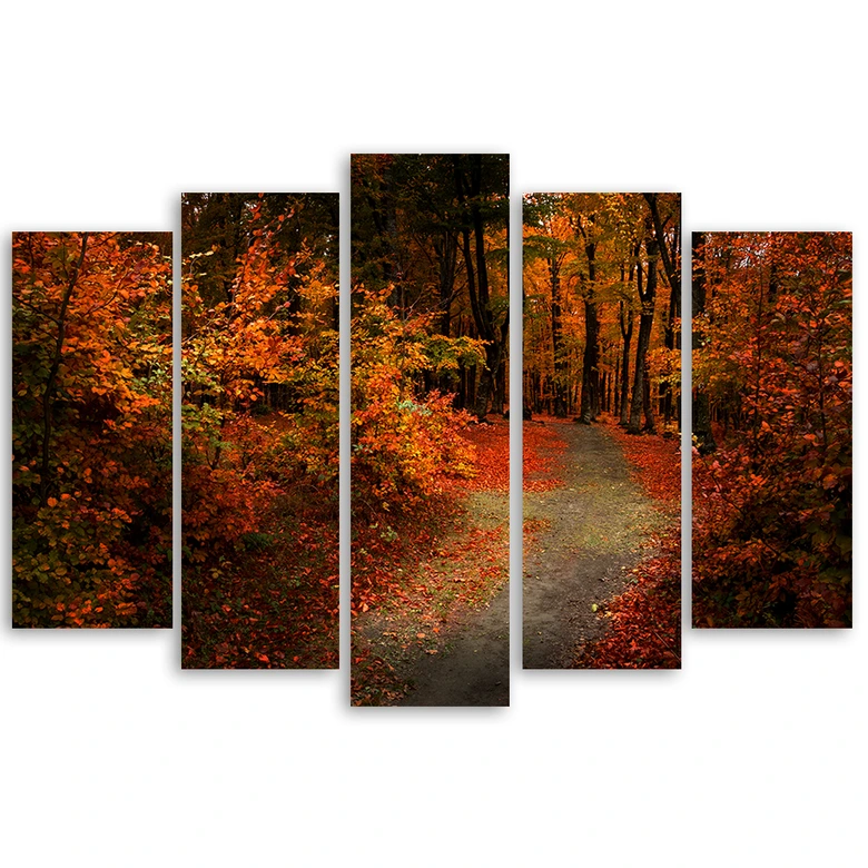 Leinwandbild 5 teilig, Wald Herbstblätter Natur 