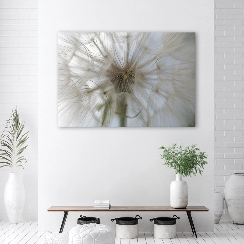 Leinwandbild, Pusteblume Pflanzen Natur 