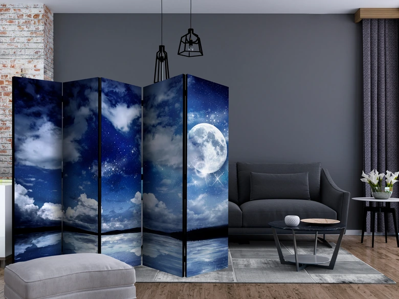 Paravent, Raumteiler freistehend, Trennwand - Magic Night II, 5-teilig - einseitig bedruckt - 225x172 cm 