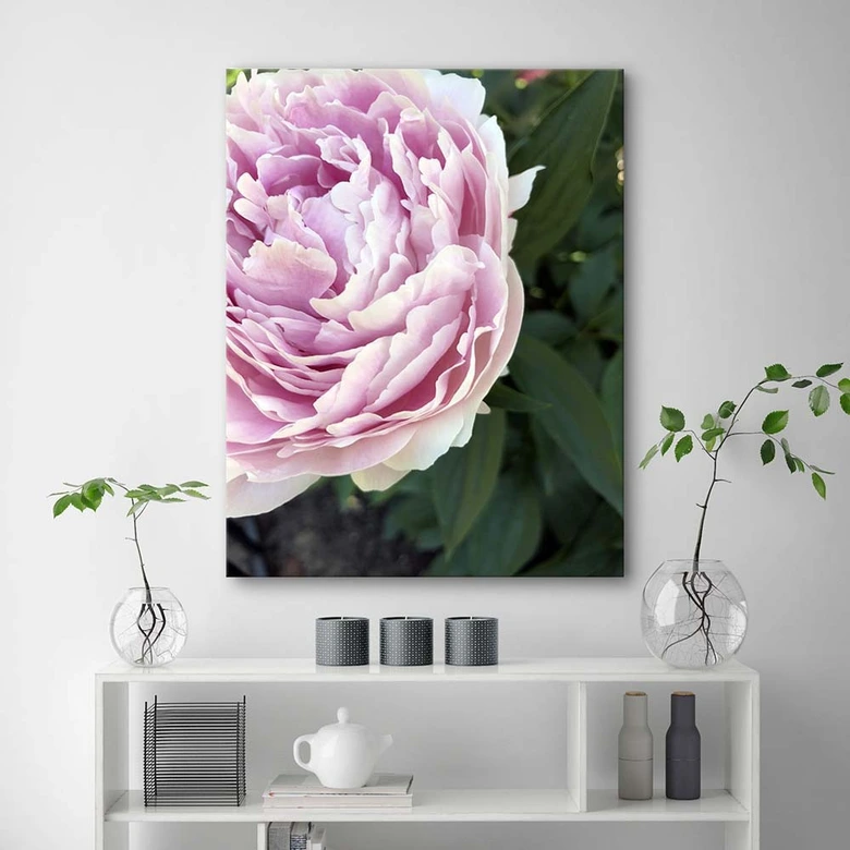 Leinwandbild, Rosa Pfingstrose Blumen 