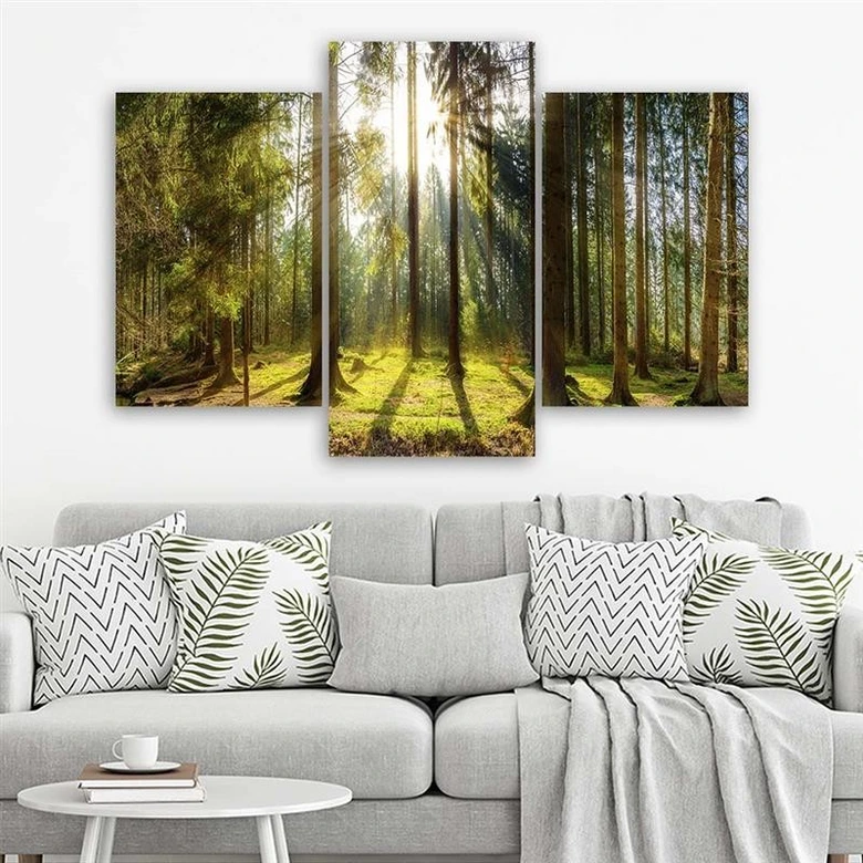 Leinwandbild 3-teilig, Wald Strahlen Baum Natur 