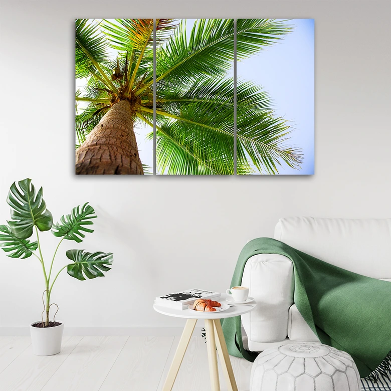 Leinwandbild 3-teilig, Tropische Palme  