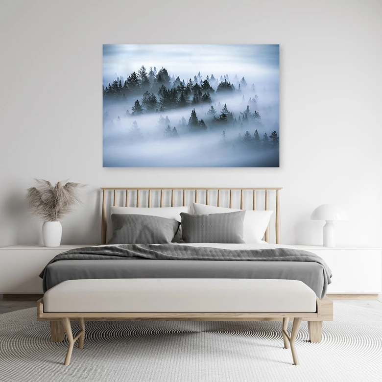 Leinwandbild, Wald im Nebel 