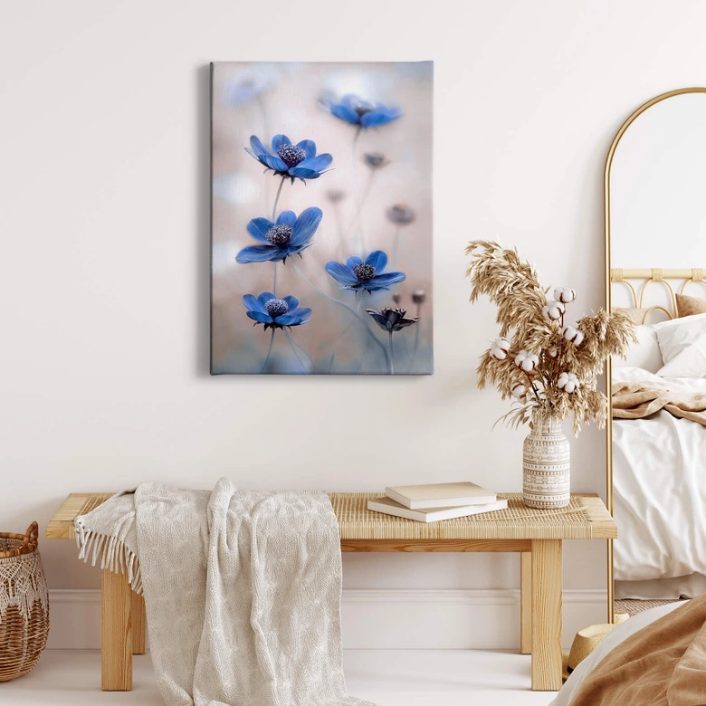 Leinwandbild Disher - Blue Cosmos 