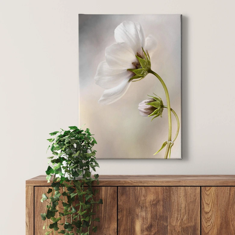 Leinwandbild Disher - Cosmos 