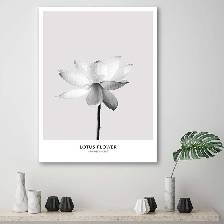 Canvasbillede, Hvid lotusblomst 