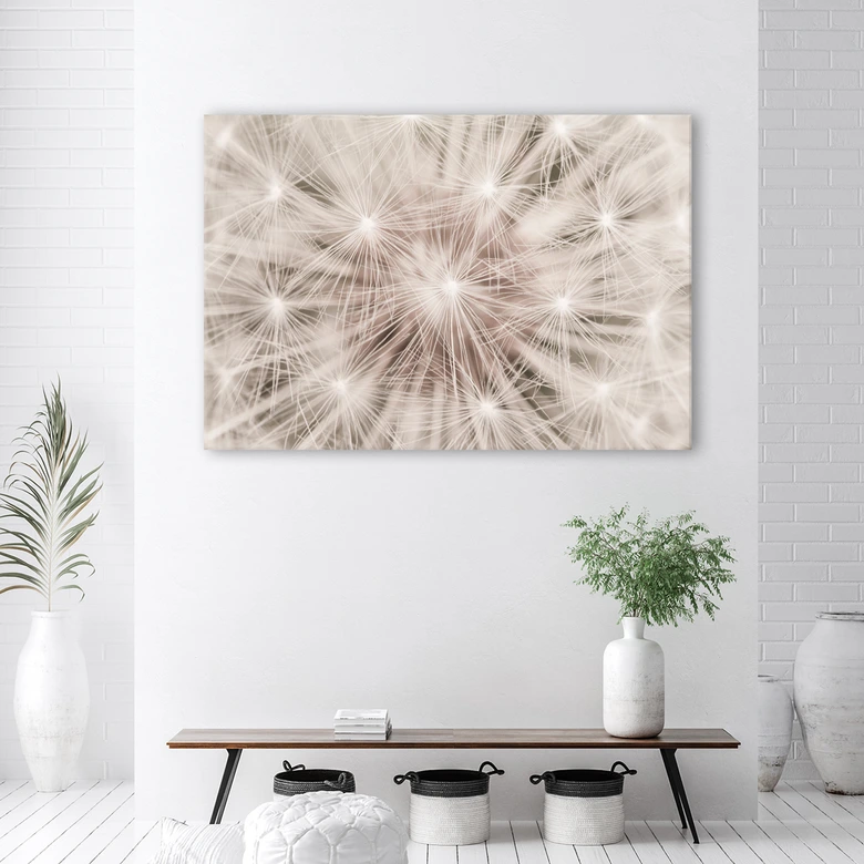 Leinwandbild, Pusteblume Natur Makro 