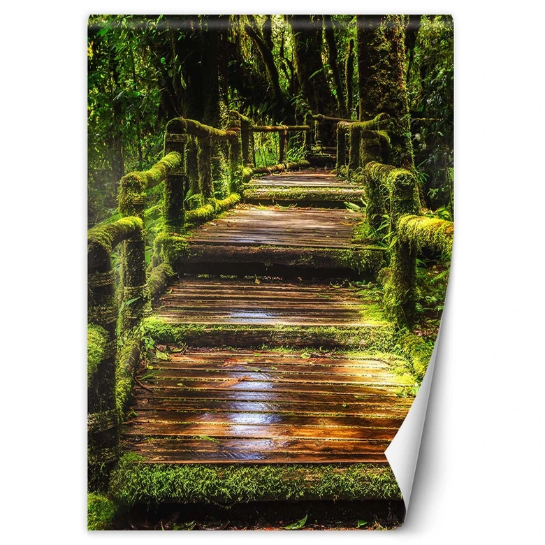 Fototapete, Brücke in einem grünen Wald 