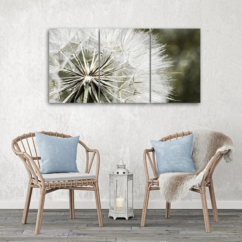 Leinwandbild 3-teilig, Gebläse Weiße Blumen 