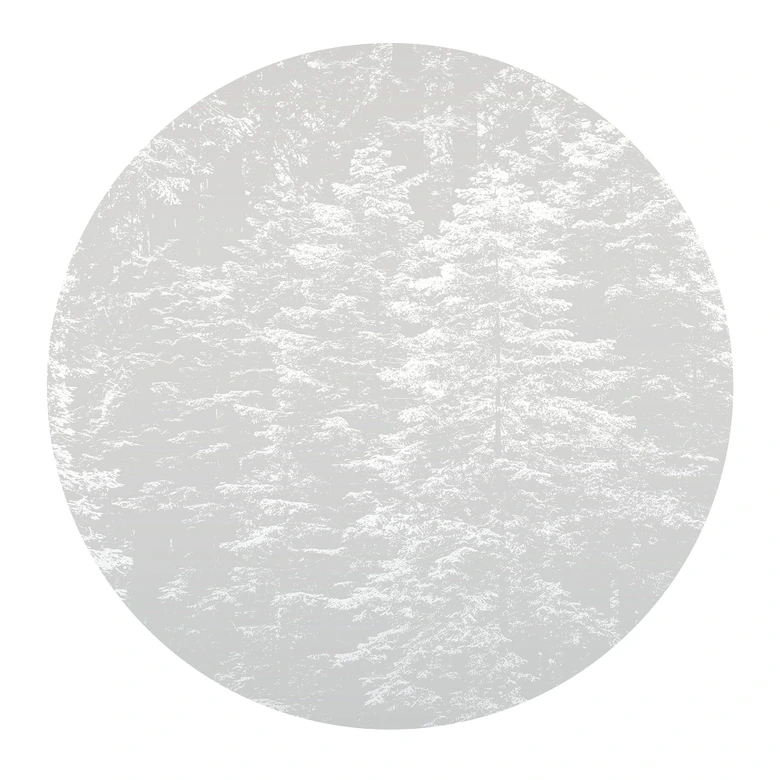 Digitaltapete Hazy Pines in 1,4 m x 1,4 m Fashion for Walls 4 von Guido Maria Kretschmer 