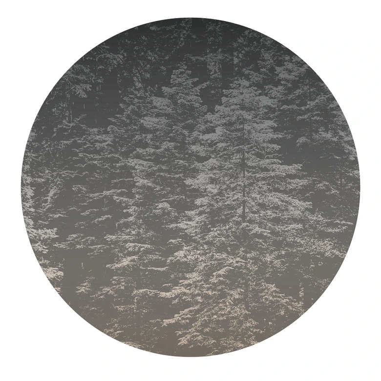 Tapeta cyfrowa Hazy Pines w formacie 1,4 m x 1,4 m Fashion for Walls 4 autorstwa Guido Maria Kretschmer 