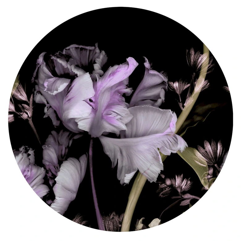 Digitaltapete Tiao Hua in 1,4 m x 1,4 m Fashion for Walls 4 von Guido Maria Kretschmer 