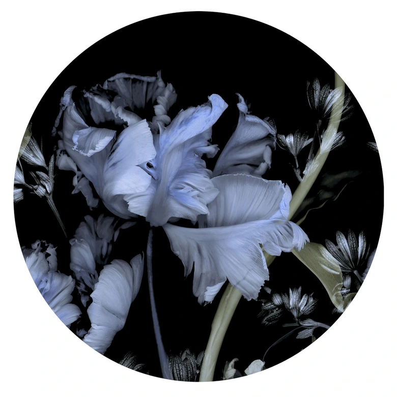 Digitaltapete Tiao Hua in 1,4 m x 1,4 m Fashion for Walls 4 von Guido Maria Kretschmer 