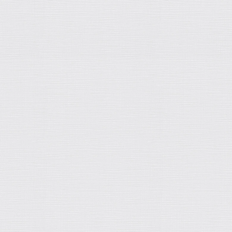 Erismann Vliestapete Novara weiß 