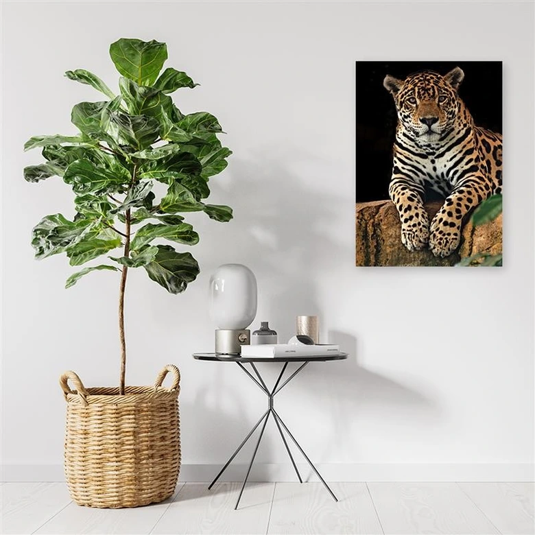 Canvasbillede, Leoparddyr 
