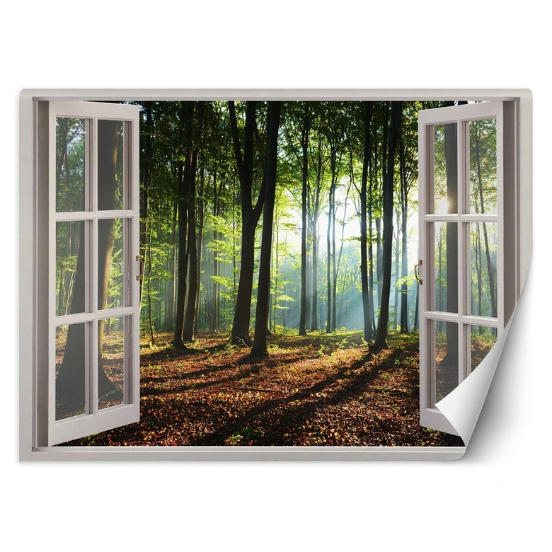 Fototapete Fensterblick Morgen im Wald 