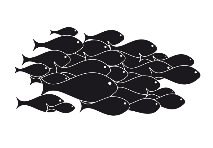 Fensterdekor Fischschwarm 