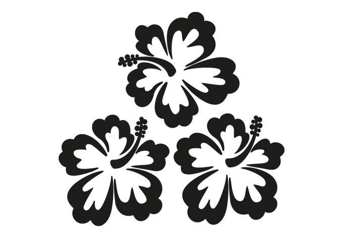 Frosted Glass - Hibiscus Flowers 