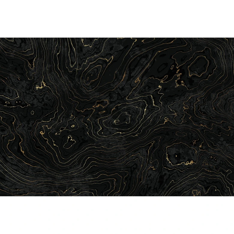 Papier peint lignes abstraites noir-or - Amini 