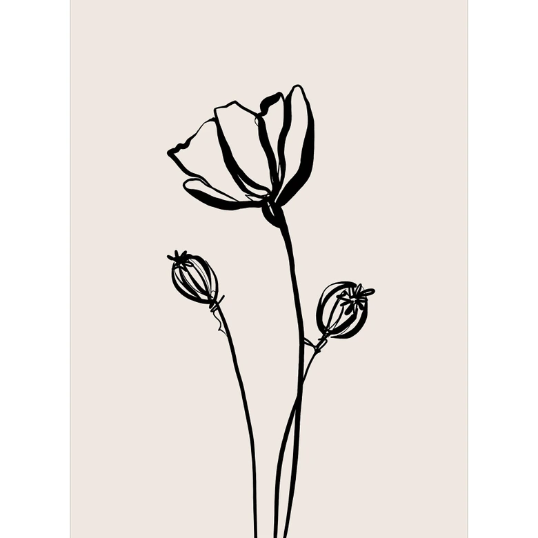 Florale Fototapete Line Art Mohnblume - Cats & Dotz 