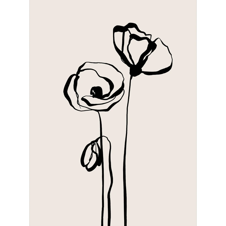 Fototapete Blumentapete Line Art Zwei Mohnblumen - Cats & Dotz 