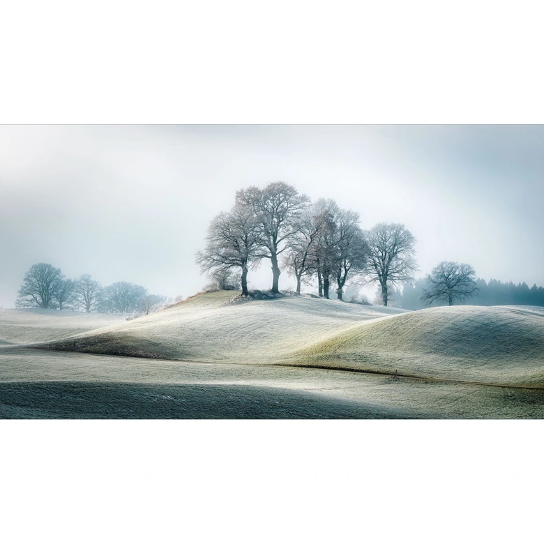 Frostigt kuperat landskap | naturligt landskap Fototapet för vardagsrum och sovrum - Eisenmann 