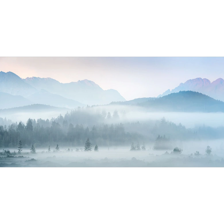 Fototapete Neblige Waldlandschaft im Herbst - Eisenmann 