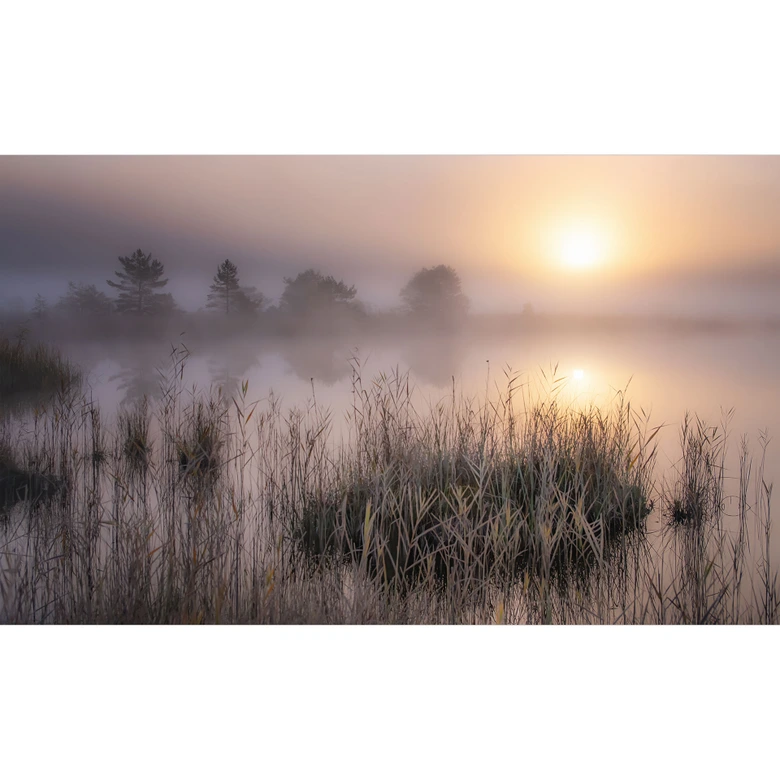 Fototapete Nebliger Herbsttag | Landschaftstapete - Eisenmann 