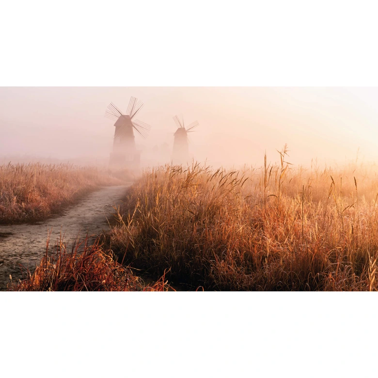 Fototapete Eom - Nebliger Morgen - 480x260 cm 