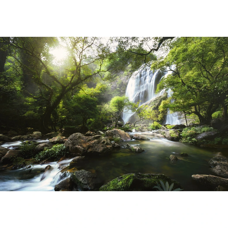Fotobehang Waterval in het Bos 