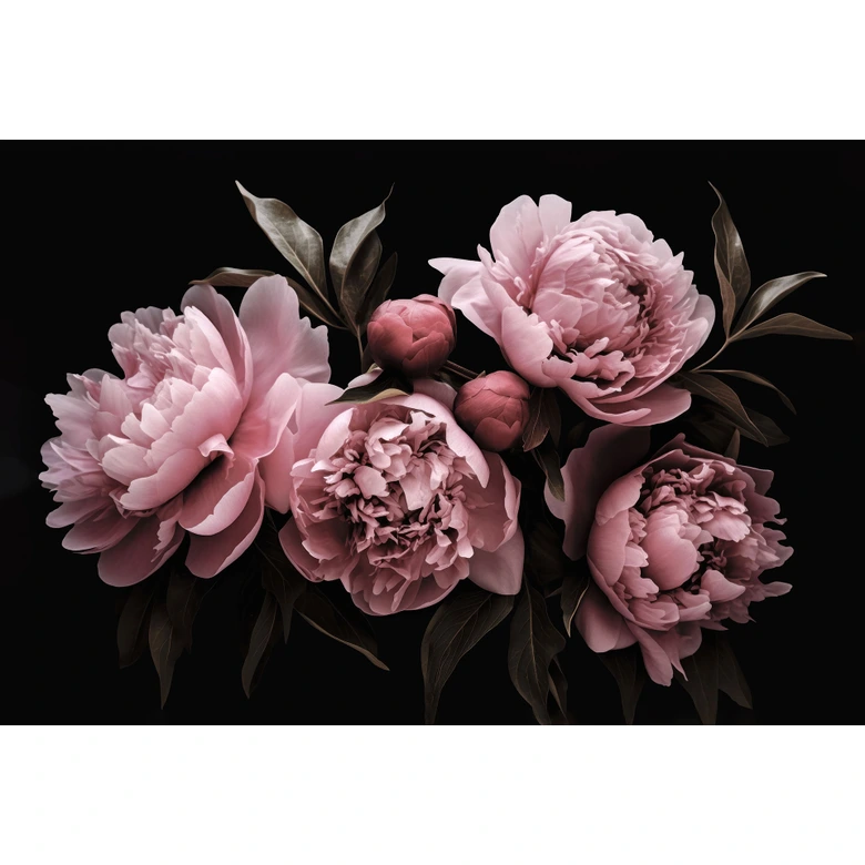 Fotobehang Pioenroos roze - Haase 