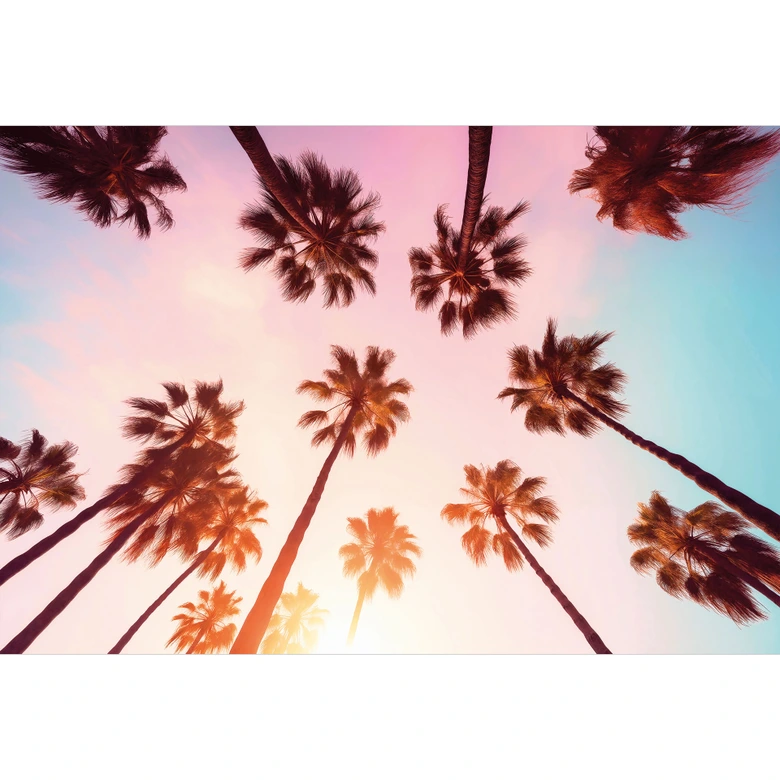 Tropische Fototapete California Dreaming mit Palmen-Blick - Hugonnard 