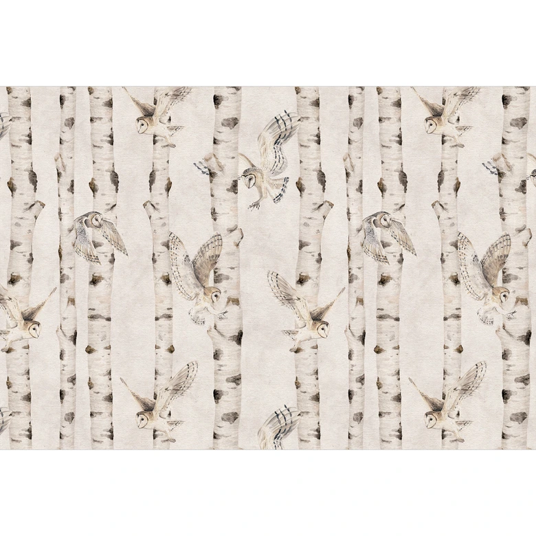 Owls in the birch forest wallpaper - Kikki Belle 