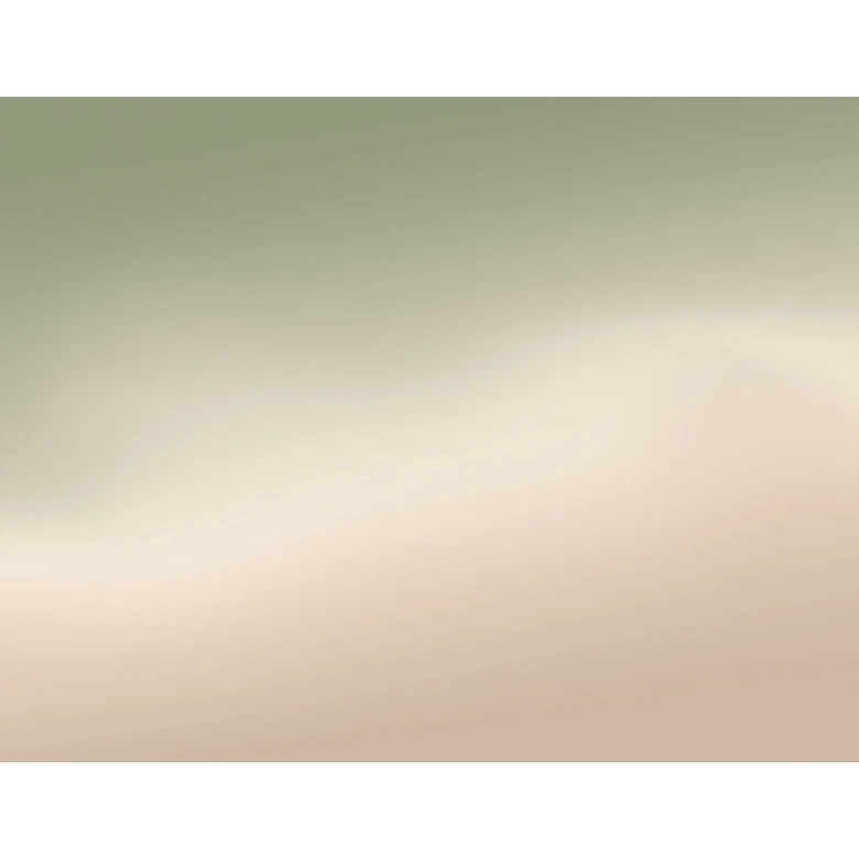 Papel pintado Ombre - Niebla del bosque 