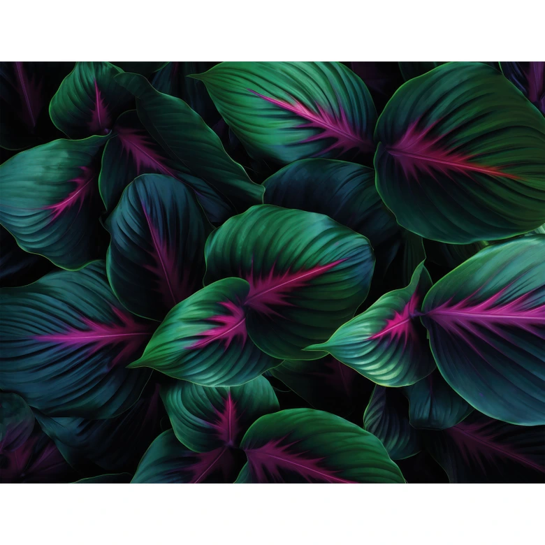 Fototapete Farbenfrohe Dschungelpflanzen - Paksoylu 