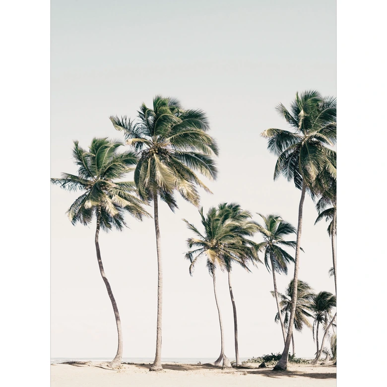 Fototapet på stranden - tropiska palmer på stranden - Sisi & Seb 