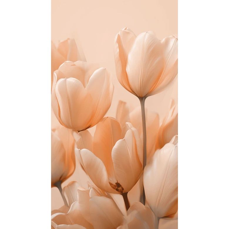 Fototapeta z tulipanami w kolorze brzoskwini - Fototapeta w kwiaty - Treechild 