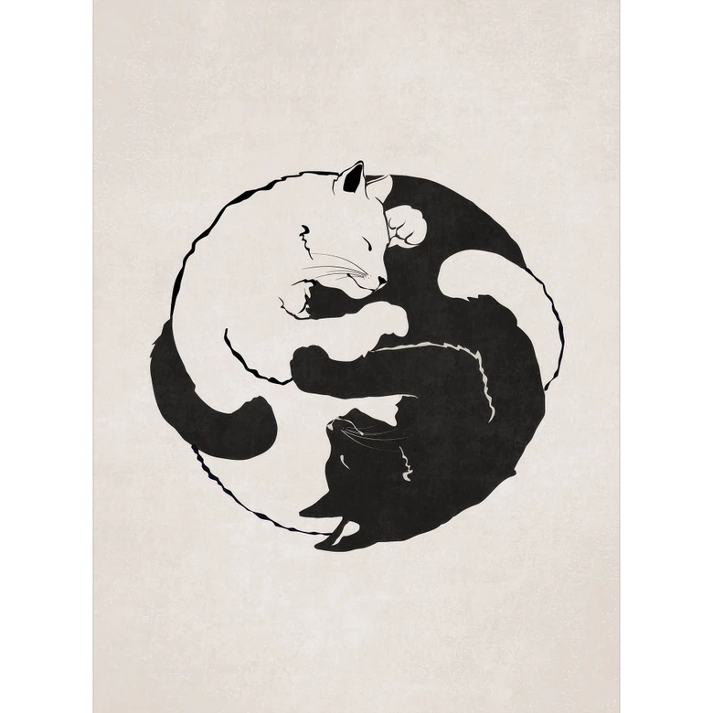 Fototapete Katzen Ying & Yang - Tunaboylu 