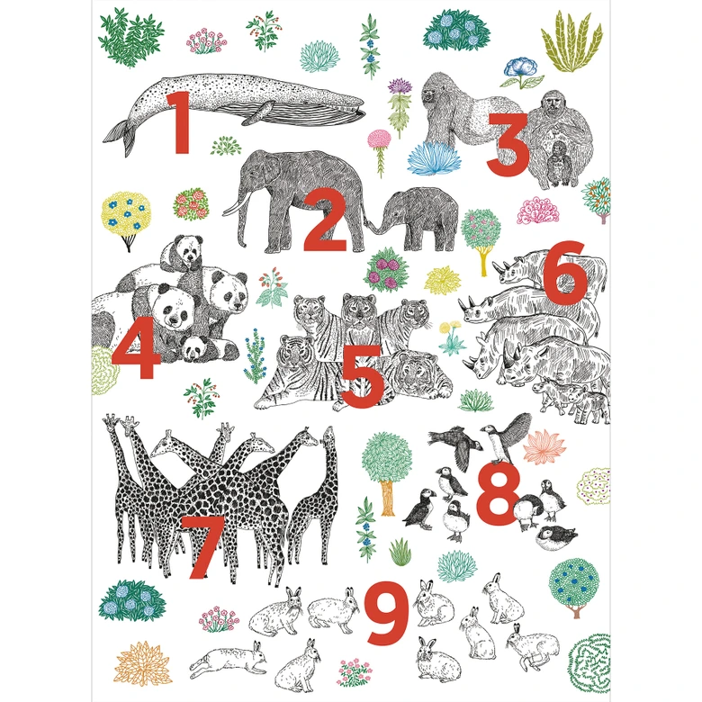 Kinderzimmer Fototapete Illustration von Zootieren mit Zahlen - Walentynowicz 