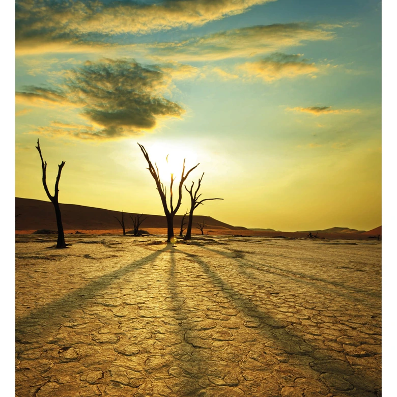 Fotobehang Desert Valley 